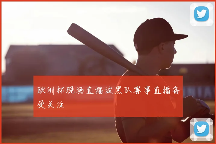 欧洲杯现场直播波黑队赛事直播备受关注