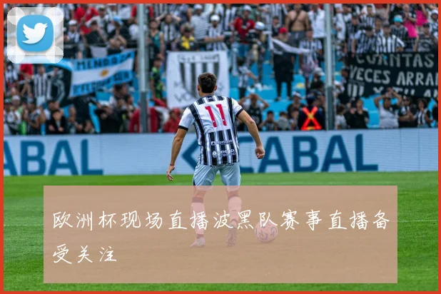 欧洲杯现场直播波黑队赛事直播备受关注