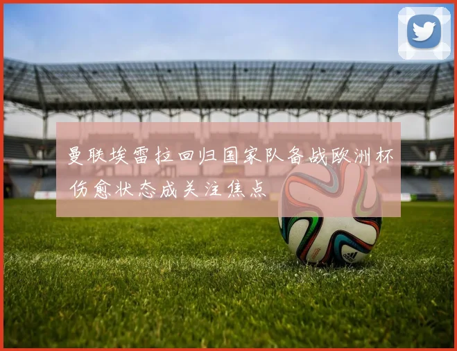 曼联埃雷拉回归国家队备战欧洲杯 伤愈状态成关注焦点