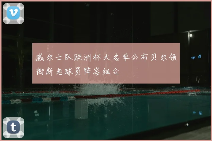 威尔士队欧洲杯大名单公布贝尔领衔新老球员阵容组合