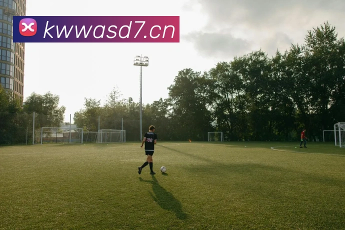 emc易倍官网APP 高清赛事图